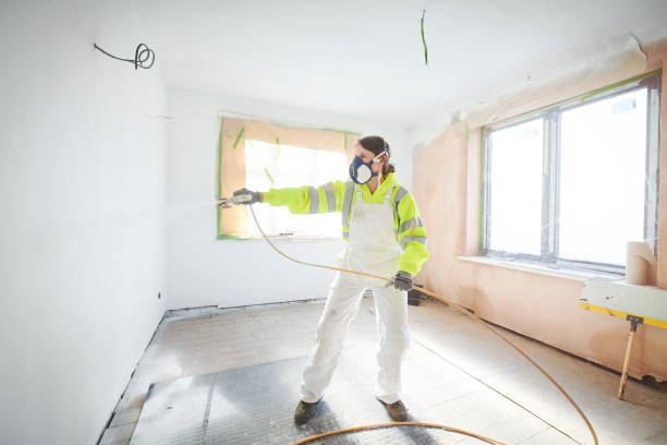 Best Asbestos and Lead Testing During Mold Inspection  in Hanna City, IL