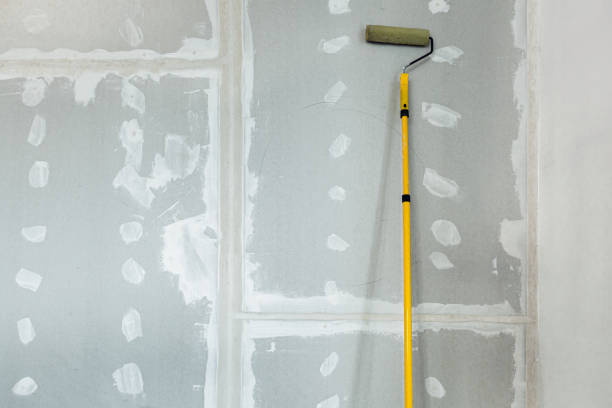 Best Industrial Mold Remediation  in Hanna City, IL