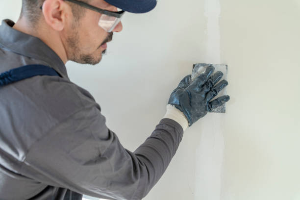 Best Comprehensive Air Testing for Mold Contaminants  in Hanna City, IL