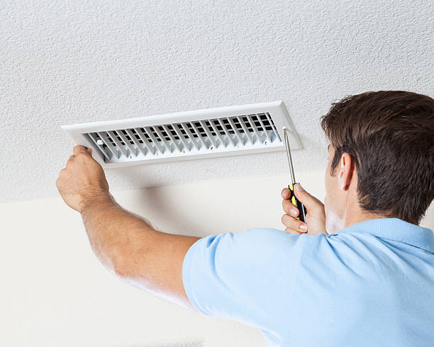 Best Black Mold Removal  in Hanna City, IL
