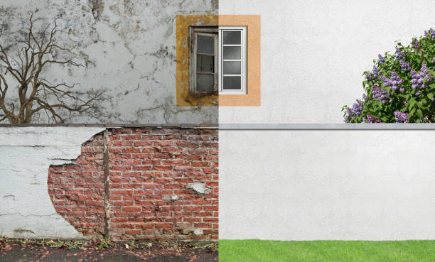 Best Environmental Consulting for Mold Prevention  in Hanna City, IL