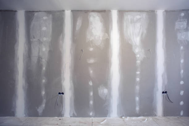 Best Post-Remediation Verification Testing  in Hanna City, IL